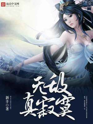 无敌真寂寞小说