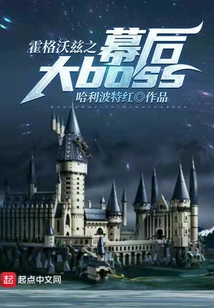 霍格沃兹之幕后大BOSS