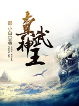 真武神王TXT下载