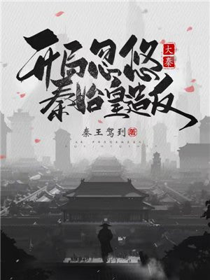 大秦开局震惊秦始皇林天