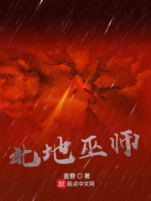 北地巫师 小说