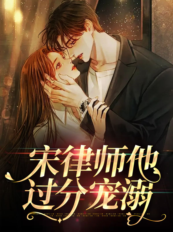宋律师