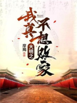大明我真的不想做太子