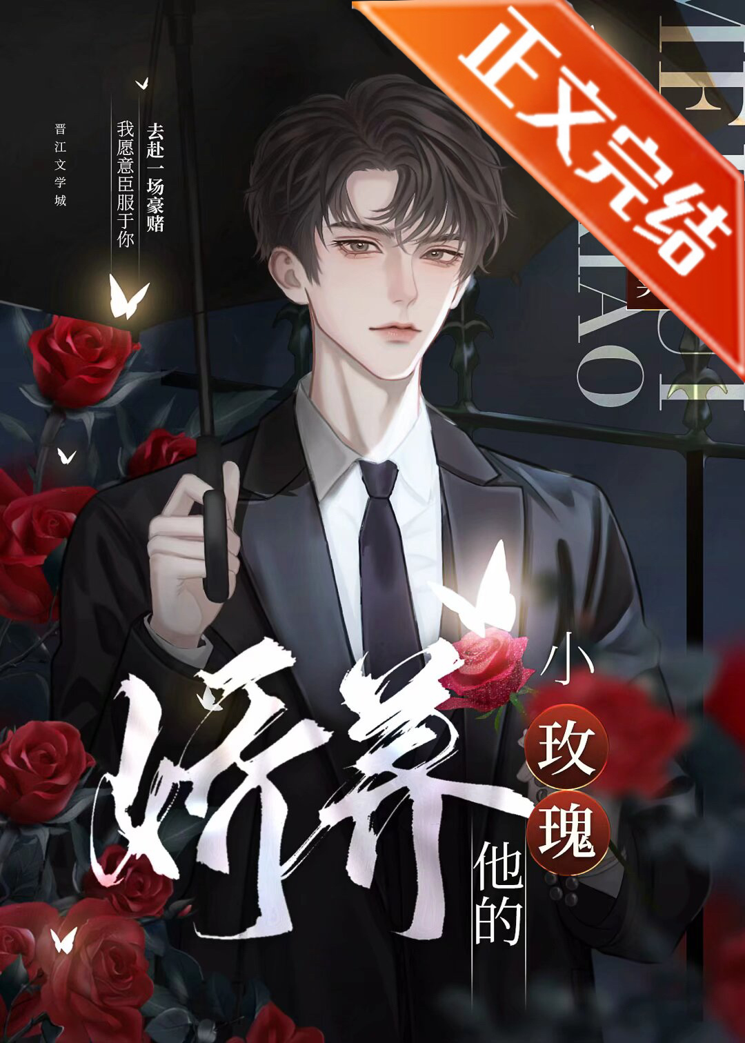 娇养他的小玫瑰 txt