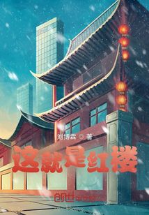 就是红楼梦