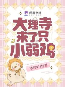大理寺日志小黑