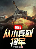 抗战:从小兵到将军下载tXt
