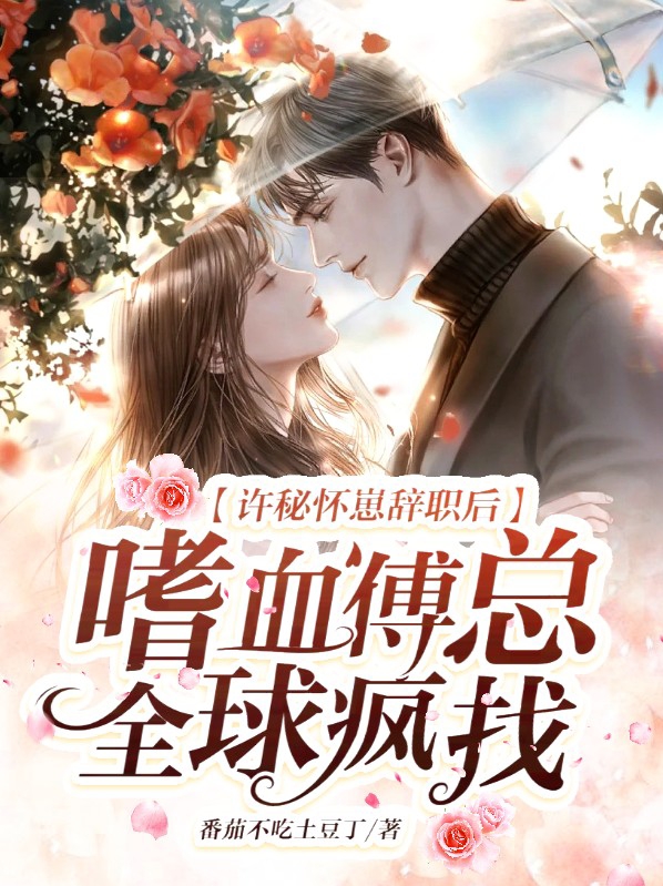 许觅是什么小说