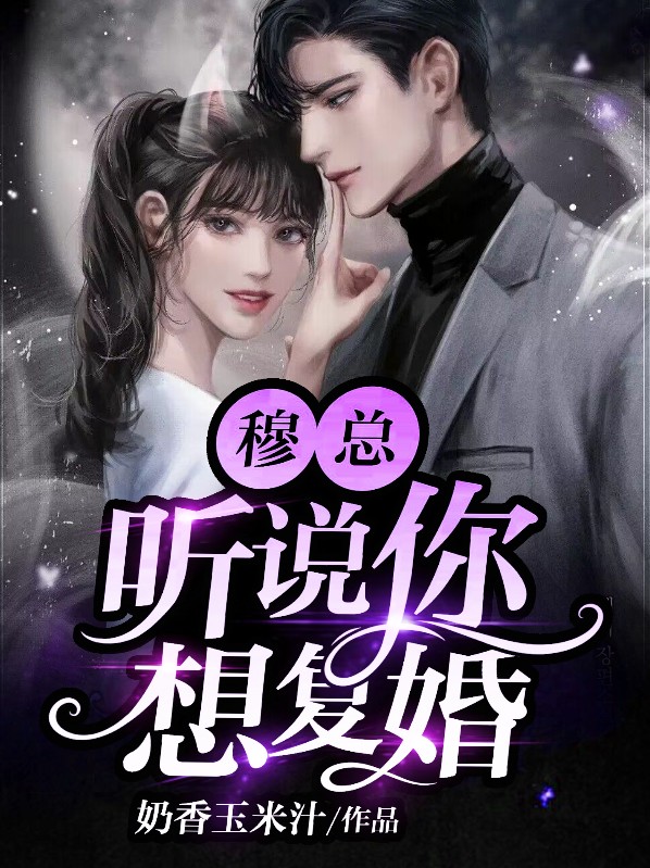 穆总的小说