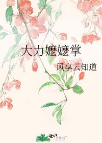 大力嬷嬷掌男主是谁