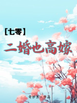 七零二婚也高嫁TXT免费下载