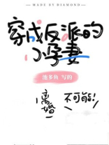 穿成反派的小孕妻盛宁