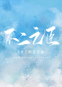 不二之臣小说TXT下载