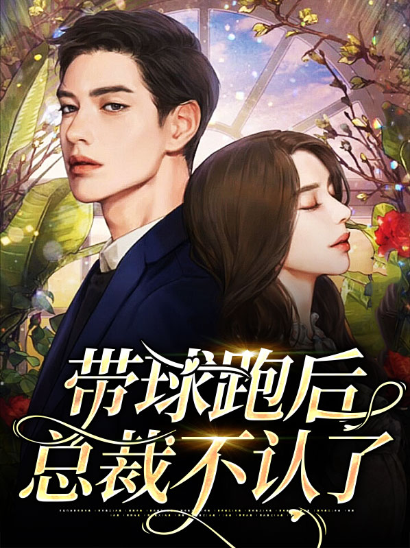 带球跑的总裁小说