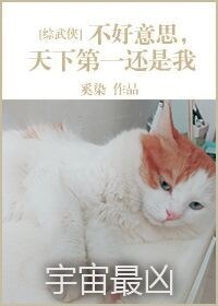 不好意思天下第一还是我[综]好看吗