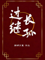 过继长孙免费阅读