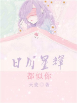 日月如星