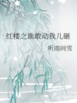 红楼之谁敢动我儿砸