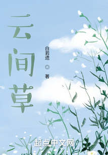 云间草花语