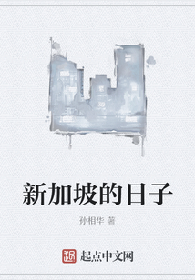 我在新加坡的日子
