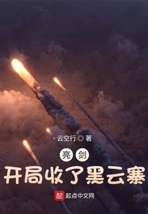 亮剑:开局收了黑云寨 起点