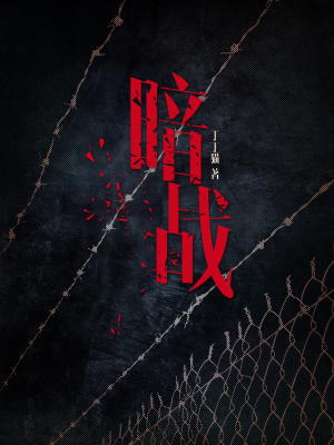 暗战风云
