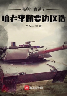 亮剑直说了咱老李就要边区造笔趣阁