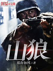 山狼山地车是品牌吗