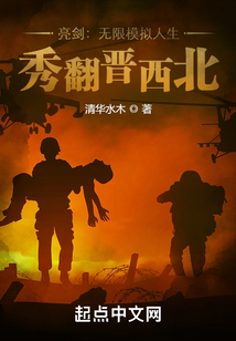 亮剑:无限模拟人生,秀翻晋西北 清华水木