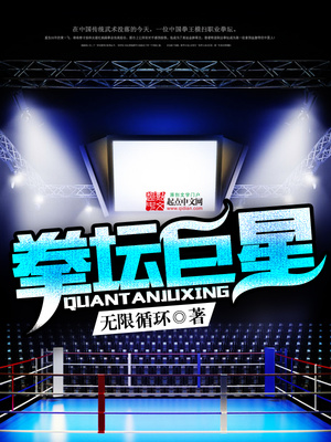 拳坛巨星 无限循环小说