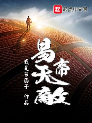 易帝无敌 小说