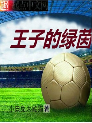 王子的王