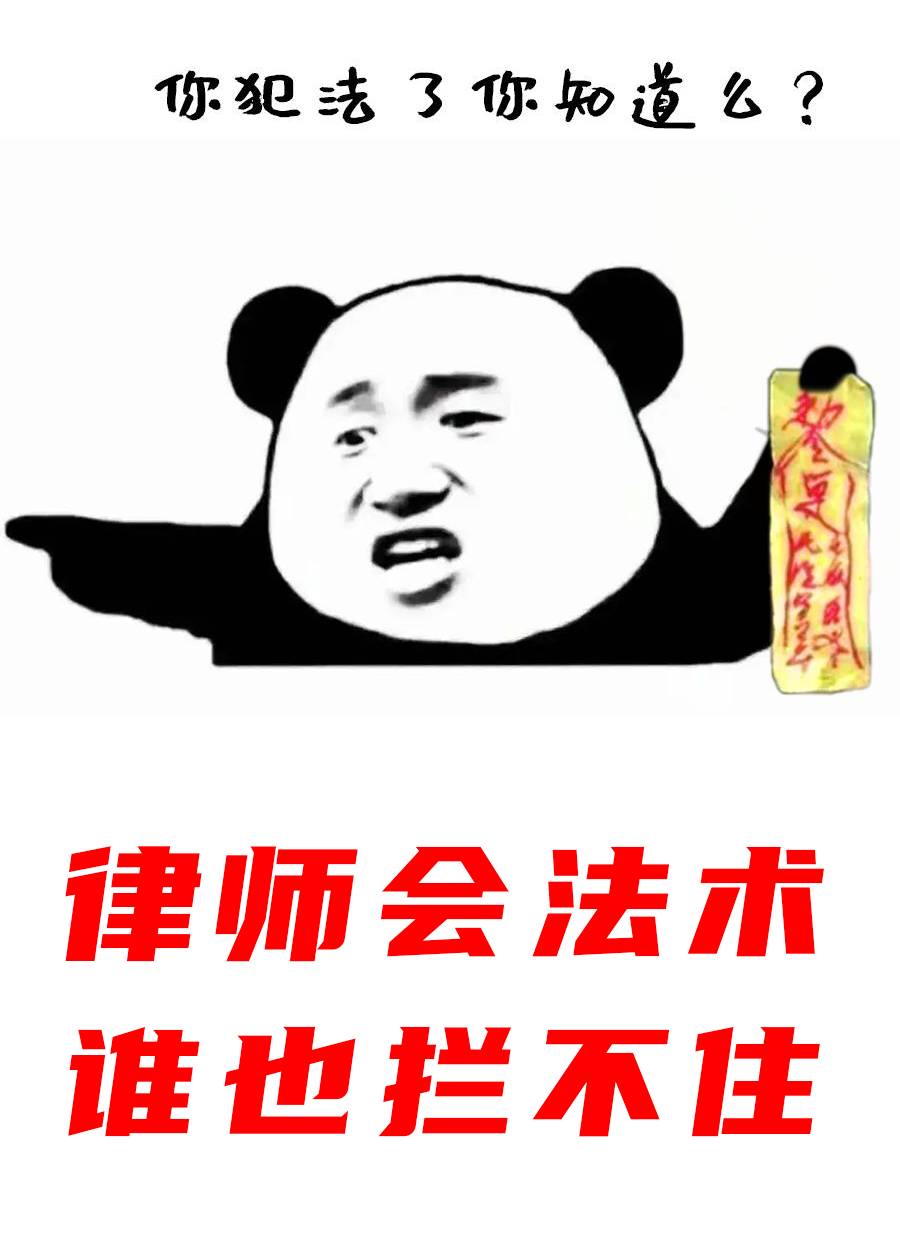 律师会法术谁也拦不住笔趣阁