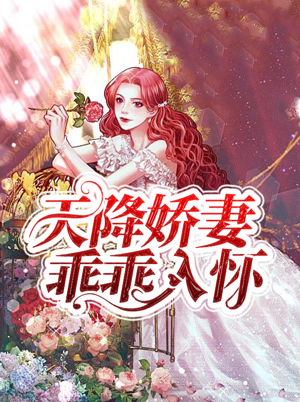 天降娇妻霸道宠完整全文免费阅读百度小说
