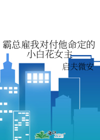 霸总雇我对付他命定的小白花女主作者:启夫微安