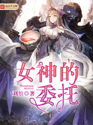女神的委托 小说