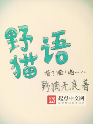 野猫语文
