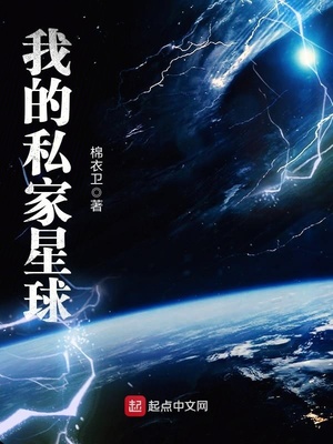 我的私家星球TXT下载