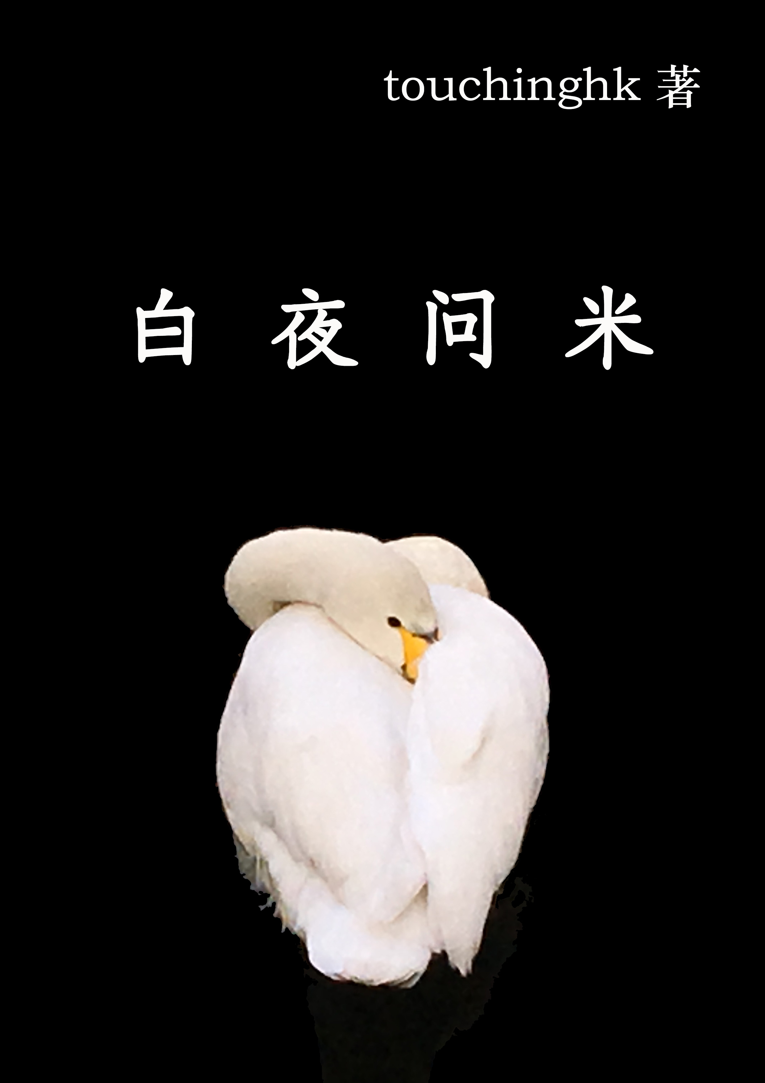 白夜问米作者