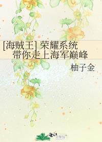 海贼王之荣耀王者