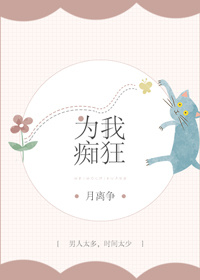 我为你痴狂的小说