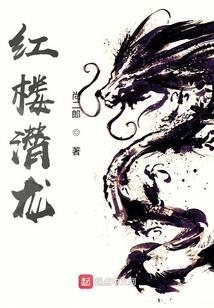 红楼潜龙无防盗