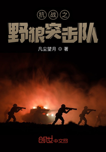 抗战之野狼突击队电视剧免费观看