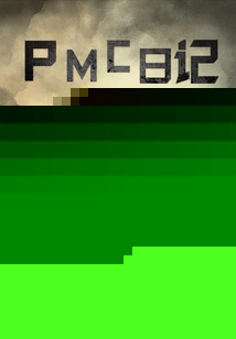 PMC日记小说