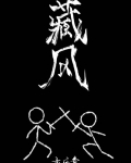 藏风