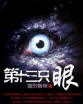 第十三只眼