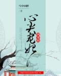 锦绣清宫：四爷的心尖宠妃