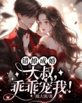 错撩成婚：大叔，乖乖宠我！