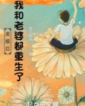 离婚后，我和老婆都重生了