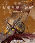 开局:大唐万里一孤城